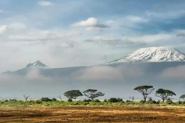 Safari | 10 jours