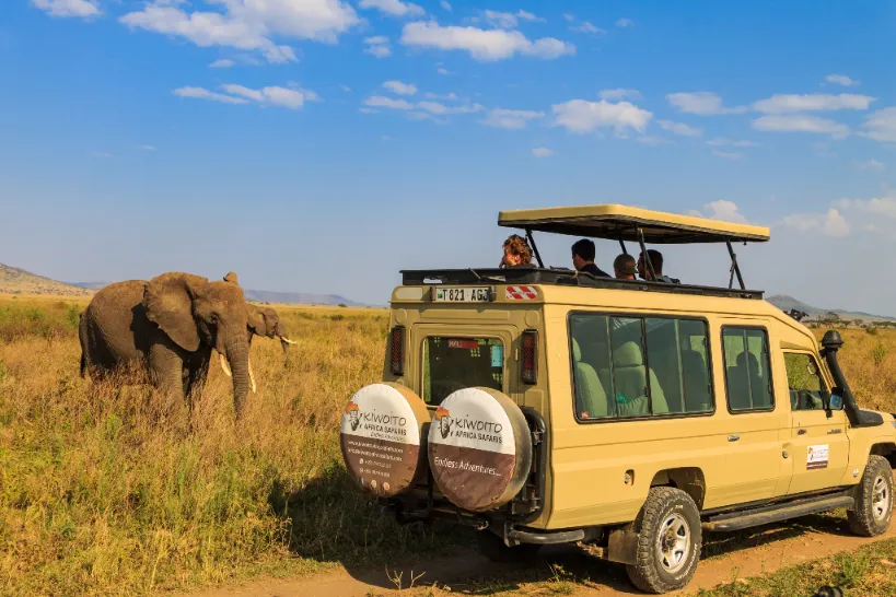 Kiwoito Africa Safaris, le meilleur opérateur de safaris locaux en Tanzanie