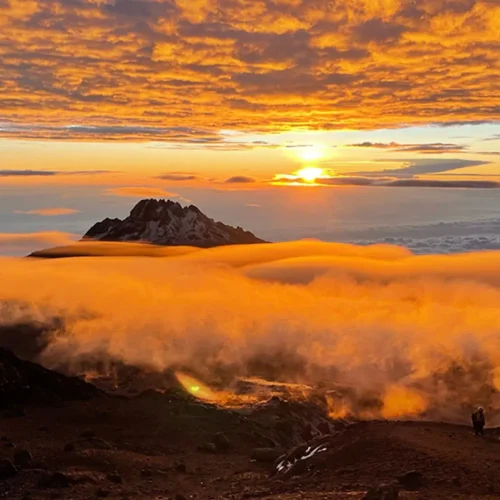 7 jours Kilimanjaro Shira Route