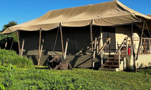Ang'ata Ngorongoro Camp
