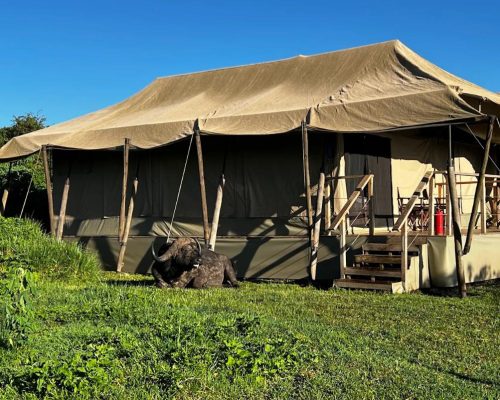 Ang'ata Ngorongoro_Camp