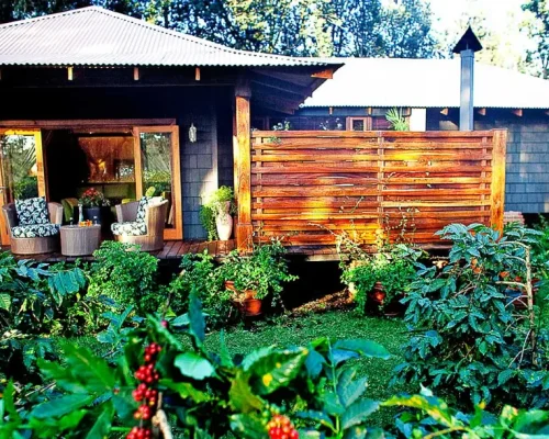 Arusha Coffee Lodge