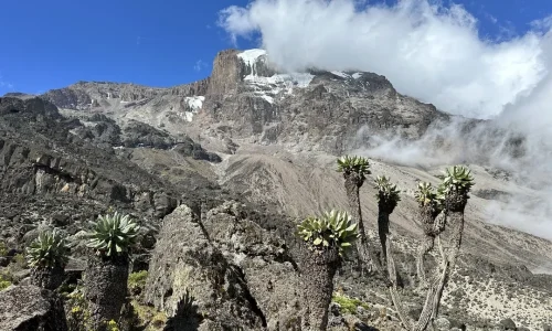 Ascension du Kilimandjaro et safari en Tanzanie