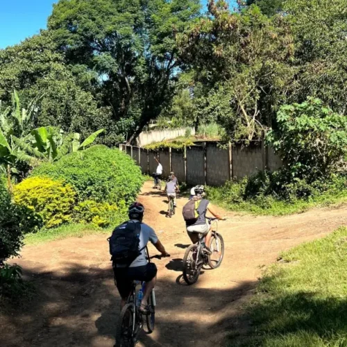 Aventures à Vélo à Arusha