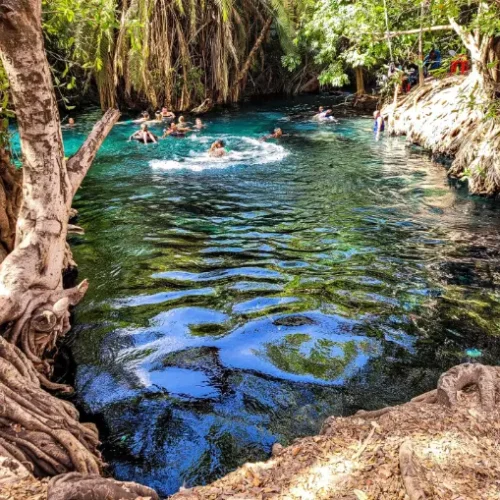 Baignade aux Sources Chaudes de Chemka