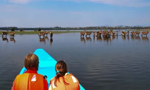 Balade en bateau et canoë au lac Naivasha
