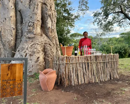 Bar du Whisper Tarangire