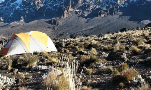 Buffalo Camp, Kilimandjaro