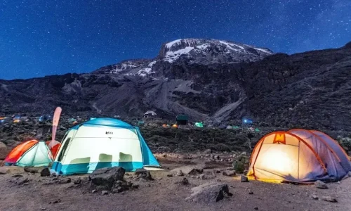 Buffalo Camp sur le circuit nord du Kilimandjaro