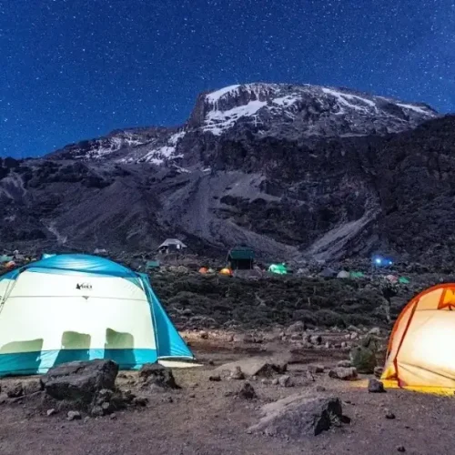 Buffalo Camp sur le circuit nord du Kilimandjaro