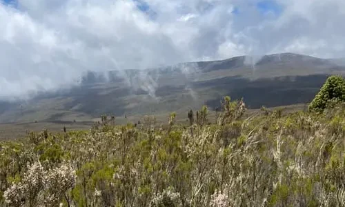 Camp de Shira 1 - trek du Kilimandjaro