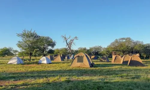 Campsite de nyani