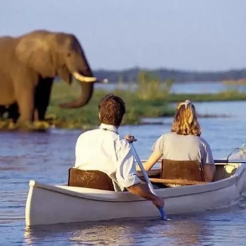Canoë sur le Lac Manyara