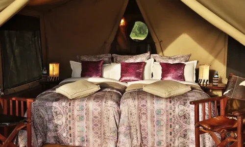 Chambres du camping Simba