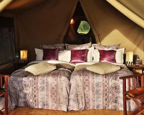Chambres du camping Simba