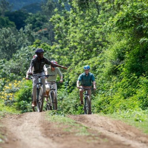 Circuit à Vélo dans le Parc National d'Arusha