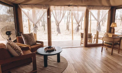 Conserve Serengeti