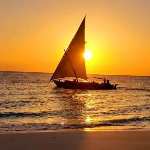 Découvrez la plage de Kendwa avec Kiwoito Africa Safari