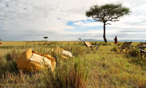 Déjeuner en brousse lors du safari à pied de Tarangirewebp