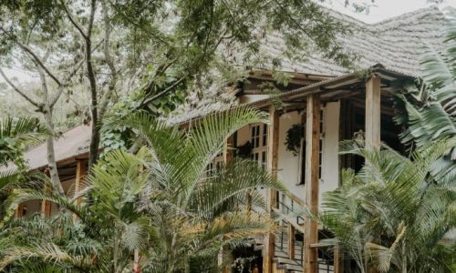 Eileen's Trees Inn Karatu