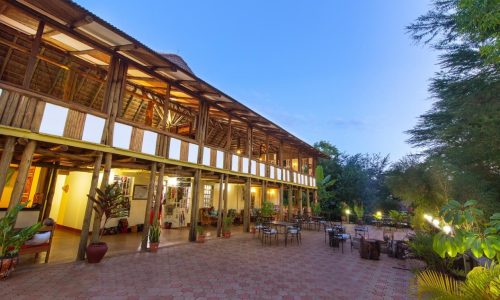 Eileen's Trees Inn Karatu