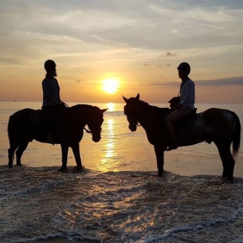 Équitation sur la Plage à Zanzibar