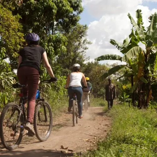 Excursion à Vélo à Arusha