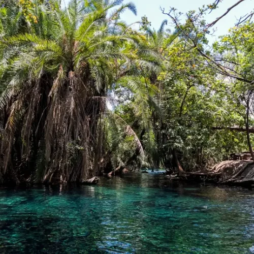 Excursion aux Sources Chaudes de Kikuletwa