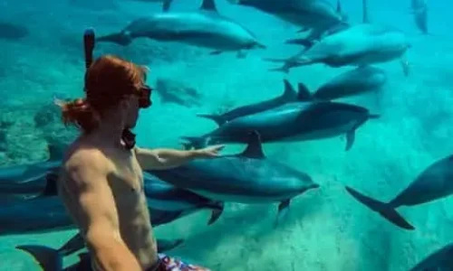 Excursion de snorkeling sur la côte est de Zanzibar