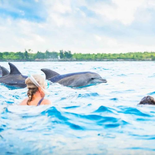 Excursion pour voir les dauphins à Kizimkazi
