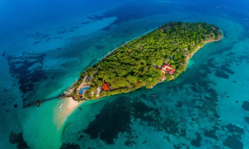 Expérience faunique sur l’île de Changuu, Zanzibar