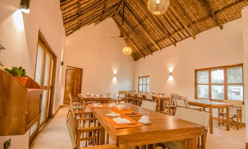 Ikumbi Safari Lodge