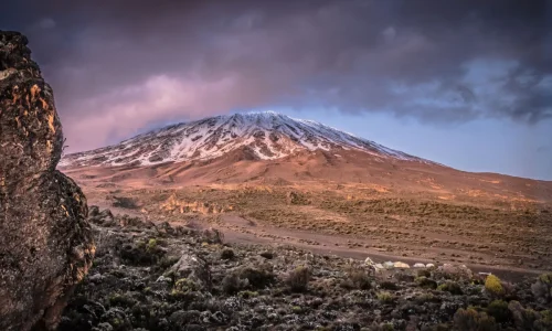 Kilimandjaro Plateau de Shira