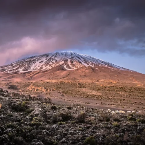 Kilimandjaro Plateau de Shira