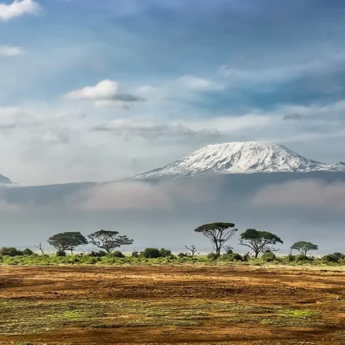 Kilimandjaro vu depuis Amboseli