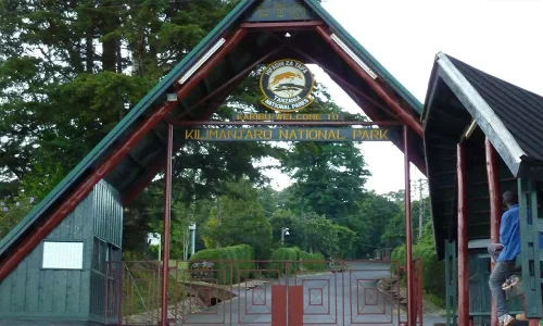Kilimanjaro-National-Park-Entrance-Marangu-Gate