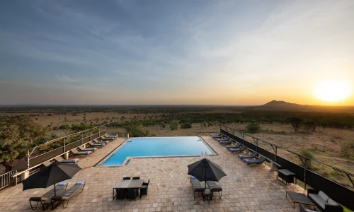 KubuKubu-Tented-Lodge-swimming-pool
