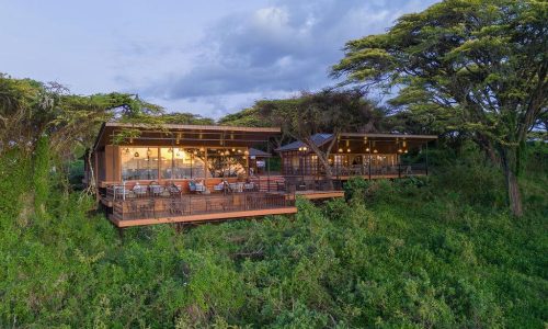 Lion’s Paw Camp