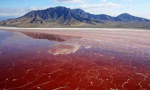 lac natron
