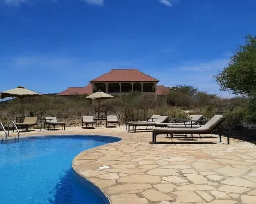 Lake-Eyasi-Safari-Lodge-swimming-pool