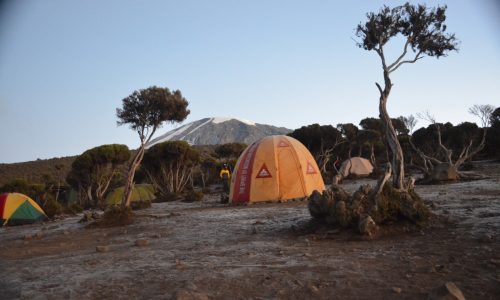 Le-Camp-Mweka-du-Mont-Kilimanjaro-en-Tanzanie