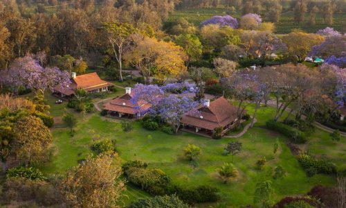Legendary Lodge Arusha