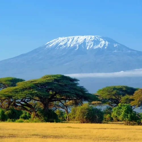 L'essentiel à connaître avant l'ascension du Kilimandjaro