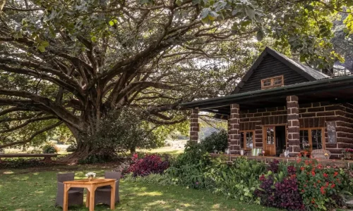 Loldia House