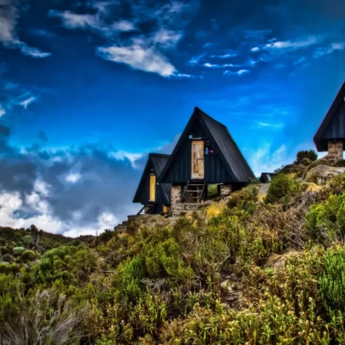 Vue des Mandara Huts, Kilimandjaro (route Marangu)