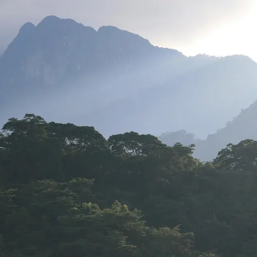 Montagnes d’Udzungwa