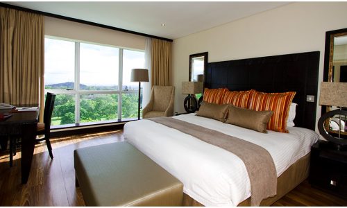 Mount Meru Hotel