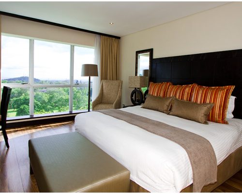 Mount Meru Hotel