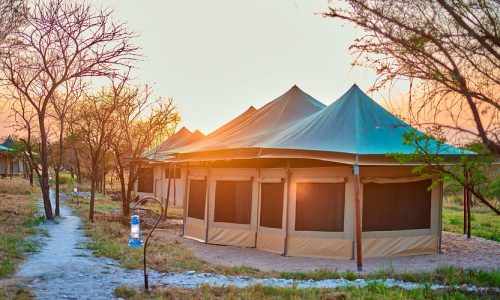 Moyo Tented-Camp