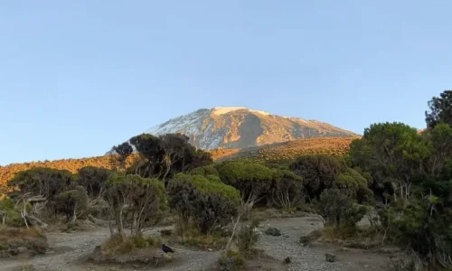 Mt-Kilimanjaro